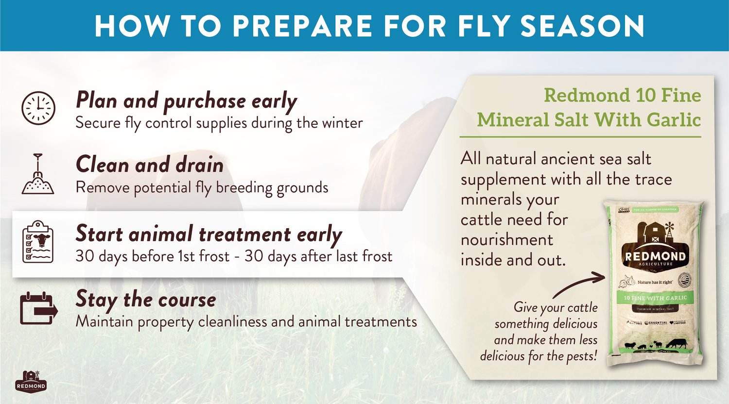 How To Prepare For Fly Season
